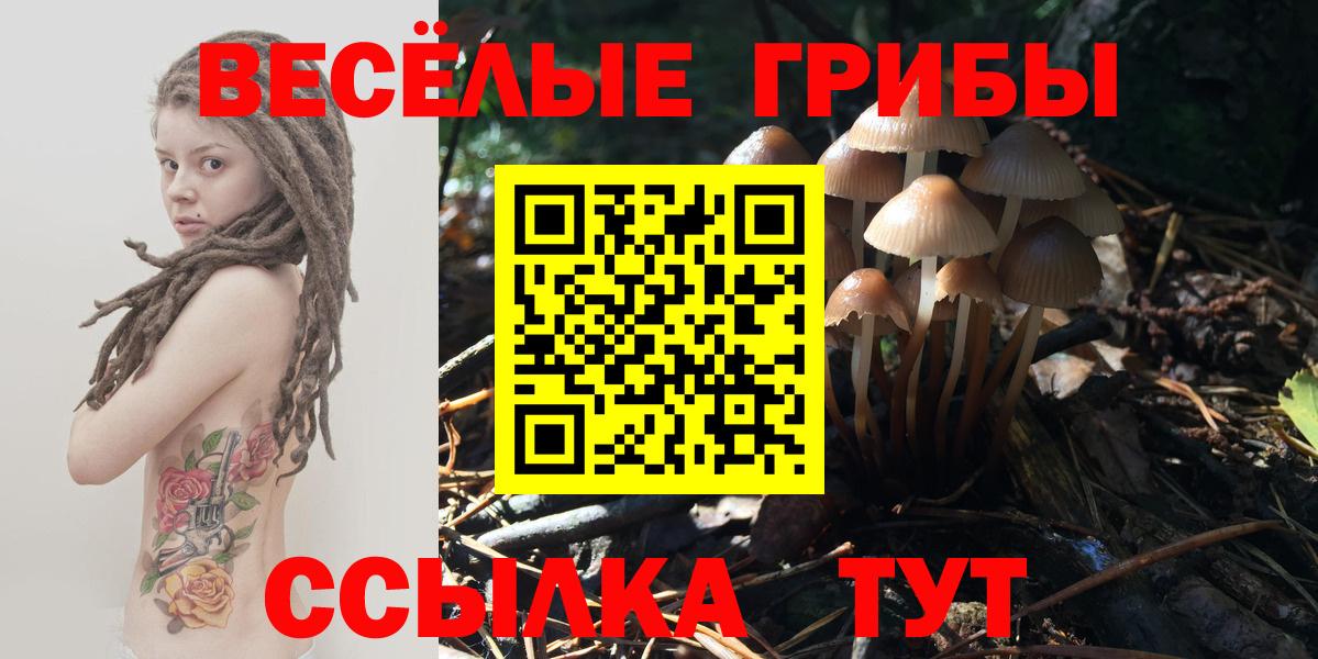 Звенигород  Псилоцибиновые грибы GOLDEN TEACHER  Галлюциногенные грибы Psilocybe  Вход с VPN 