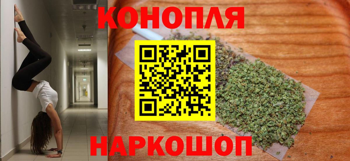 Канабис ГИДРОПОН Звенигород