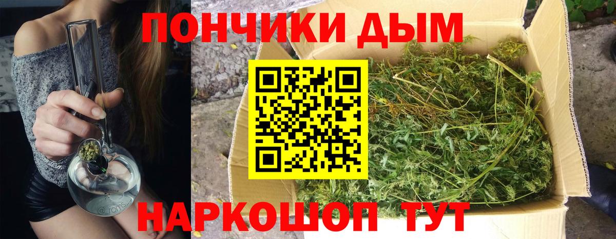 Канабис сатива  МАРИХУАНА Amnesia  Звенигород  Вход с VPN  Бошки Шишки OG Kush 